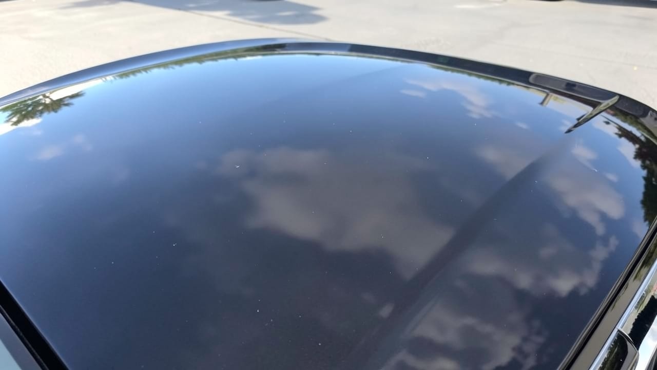 Bird Dropping Removal in Apollo Beach, FL
