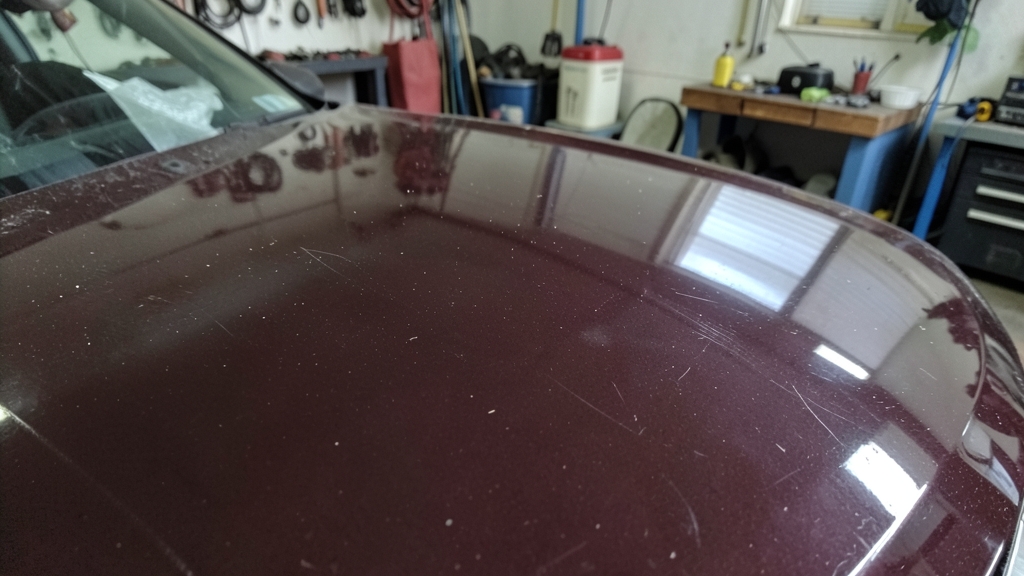 DIY vs. Professional Ceramic Coating: Which Is Right for Baton Rouge Car Owners in Ceramic Coating Baton Rouge, LA?