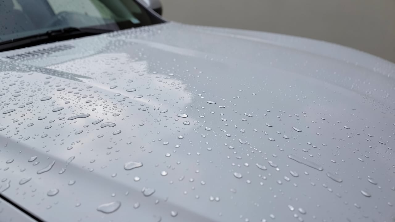 Post-Storm Contaminant Removal in Brandon, FL