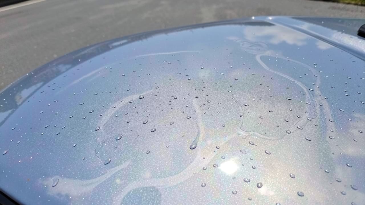Post-Storm Contaminant Removal in Commerce City, CO