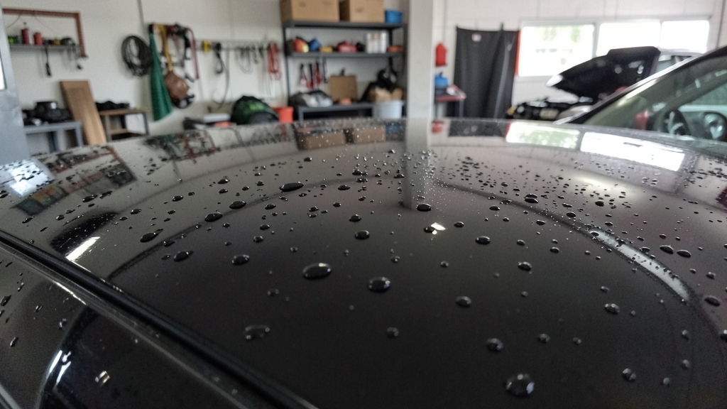 Ceramic Coating vs. Vinyl Wraps