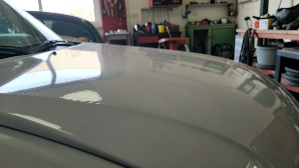 The Top 3 Environmental Enemies of Your Ceramic Coating in Fargo in Ceramic Coating Fargo, ND