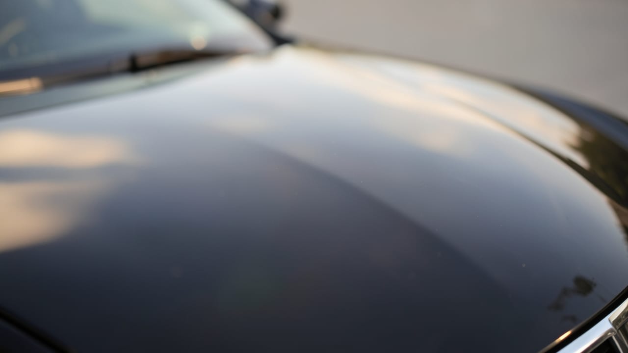 Bird Dropping Removal in Fort Myers, FL