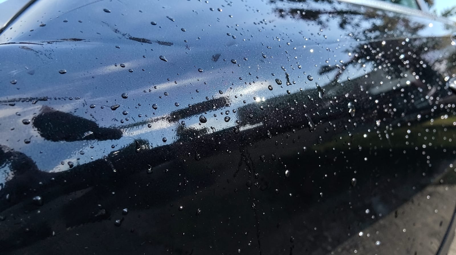 Full-Vehicle Ceramic Coating in Williston, FL in Ocala
