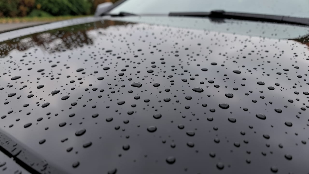 Pre-Winter Paint Sealant Application in Ocala, FL