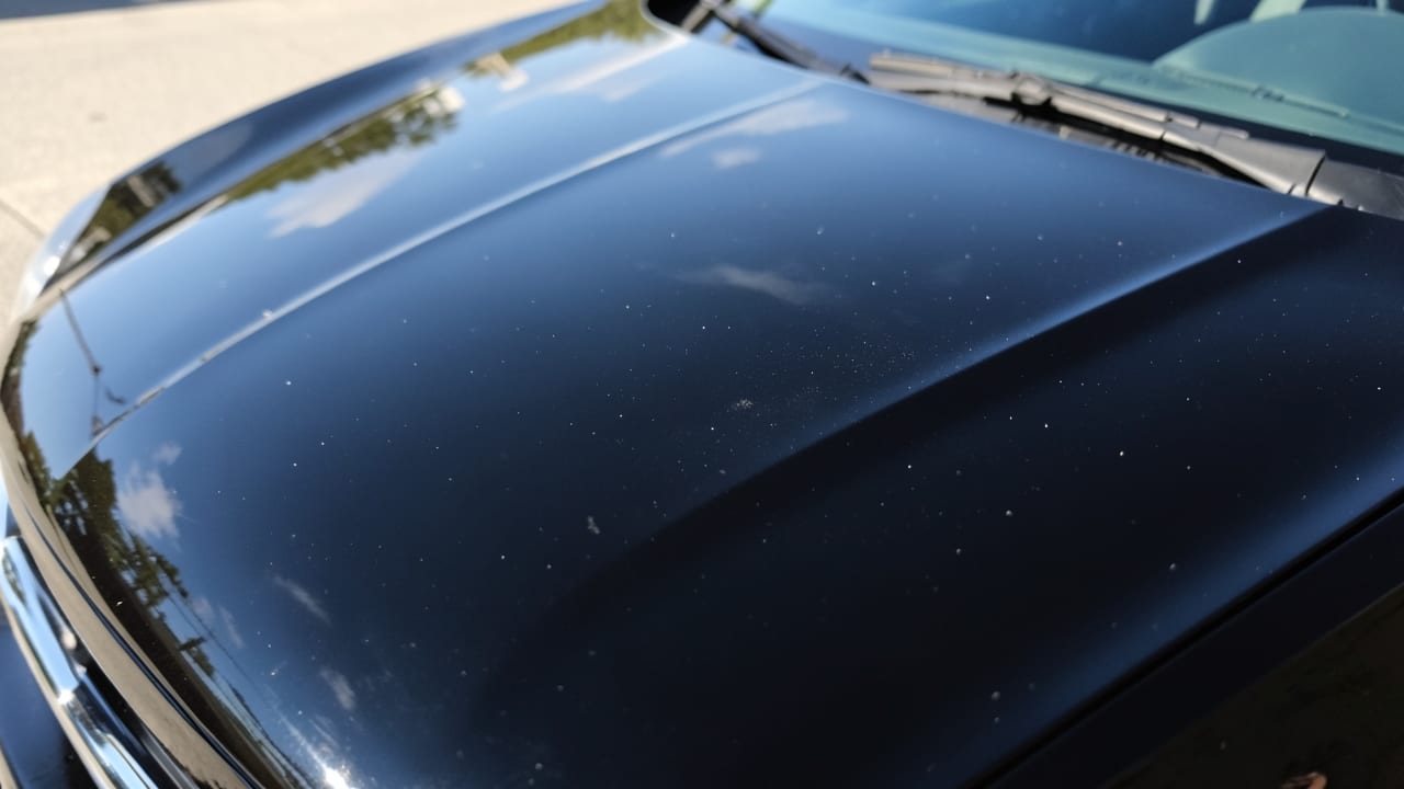 Bird Dropping Removal in Setauket, NY