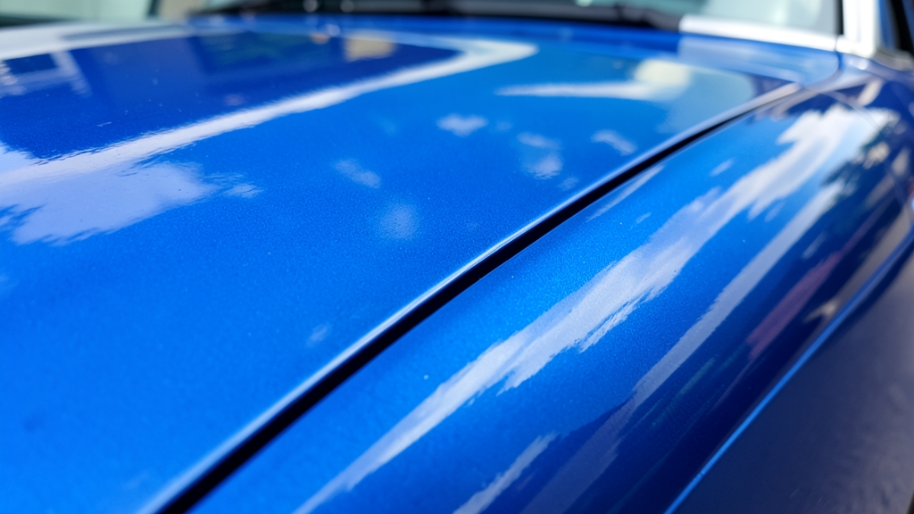 What to Expect from a Certified Ceramic in Temple Terrace