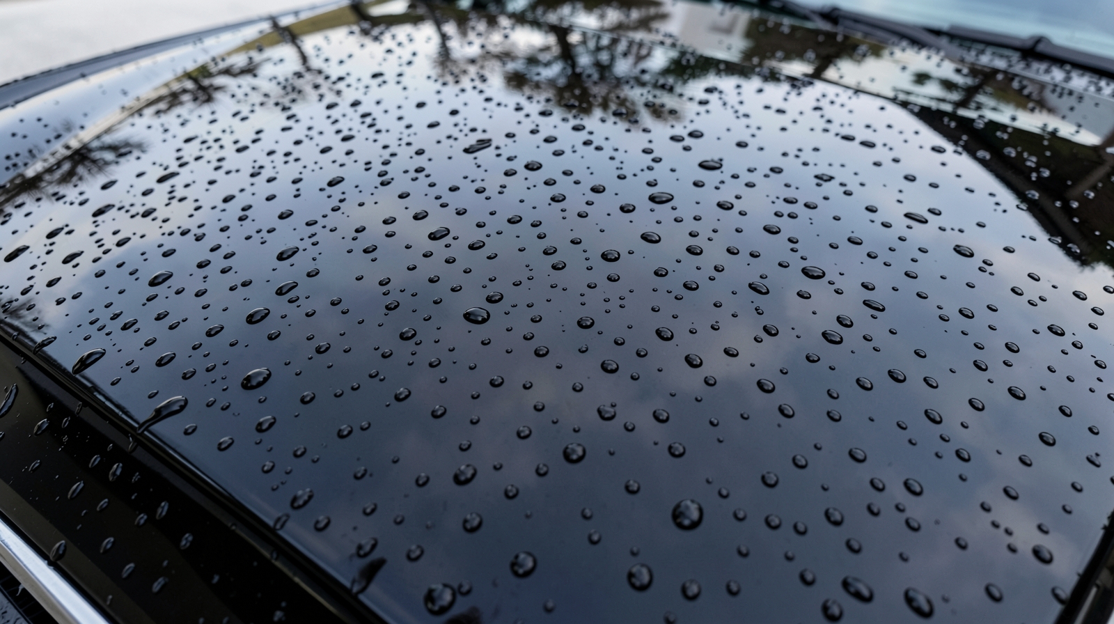 Ceramic Coating finish on a vehicle in Temple Terrace