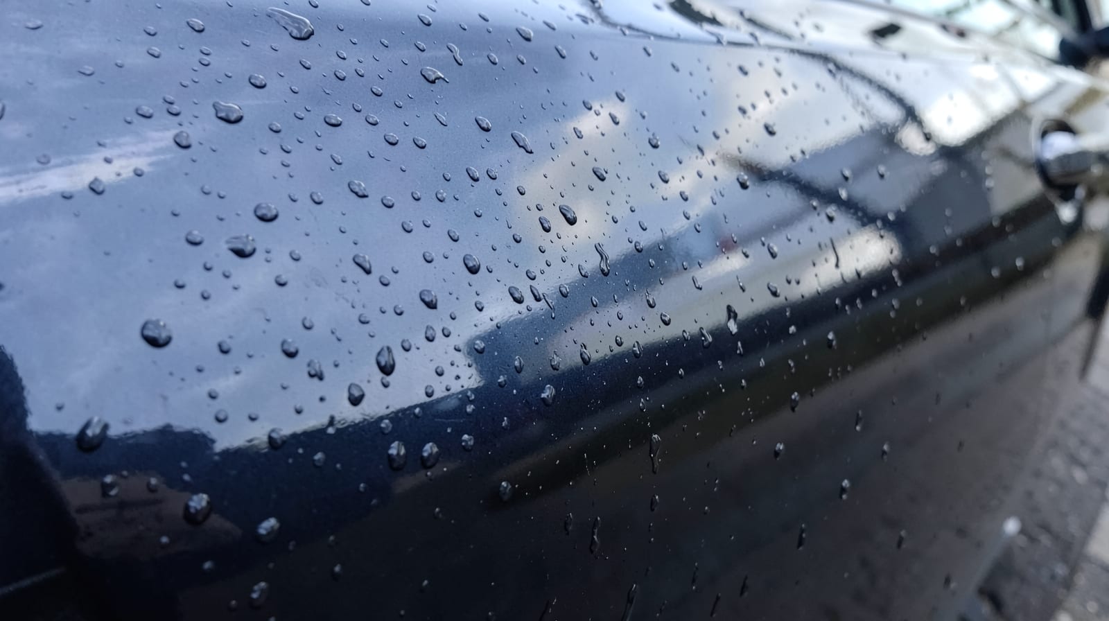 Full-Vehicle Ceramic Coating in Temple Terrace, FL