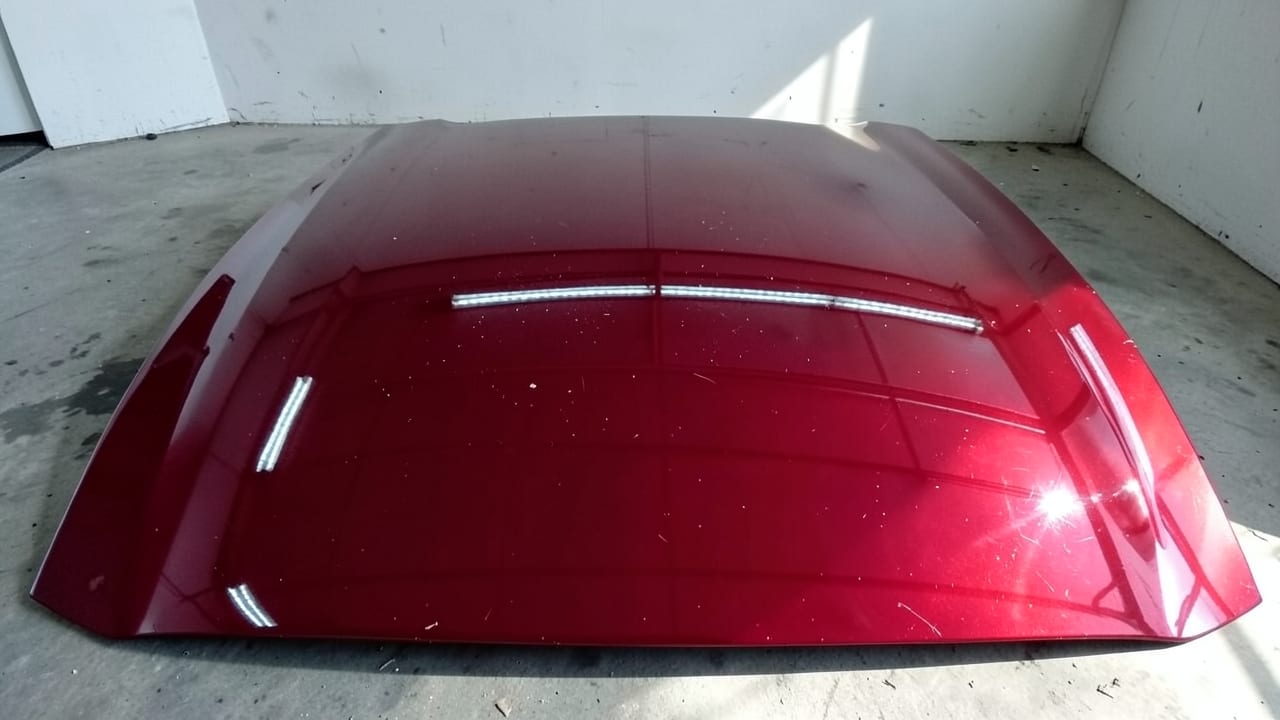 Paint Correction & Polishing in Temple Terrace, FL